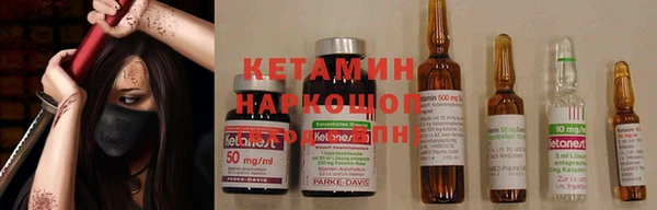 прущие крисы Белокуриха