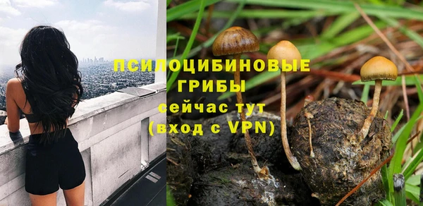 тгк Балабаново