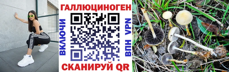 Псилоцибиновые грибы MAGIC MUSHROOMS  Буинск 